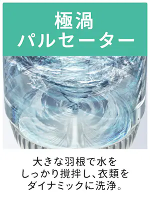 �K�`�����ɉQ���