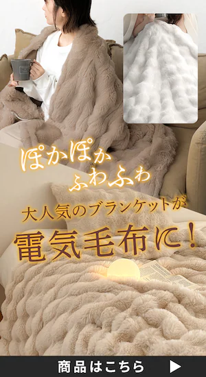 �����ӂ�d�C�ѕz