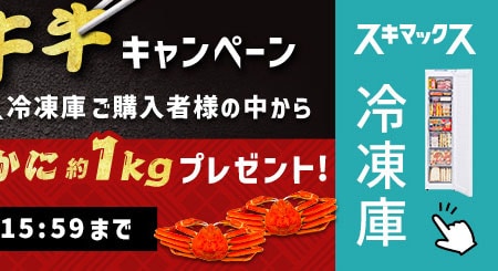 スキマックス 冷凍庫