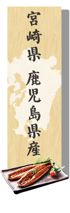 �{�茧 ���������Y