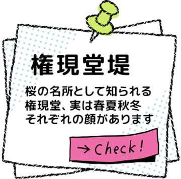 ���������� ���O