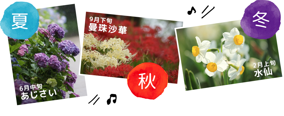 �K�茠�����̉�