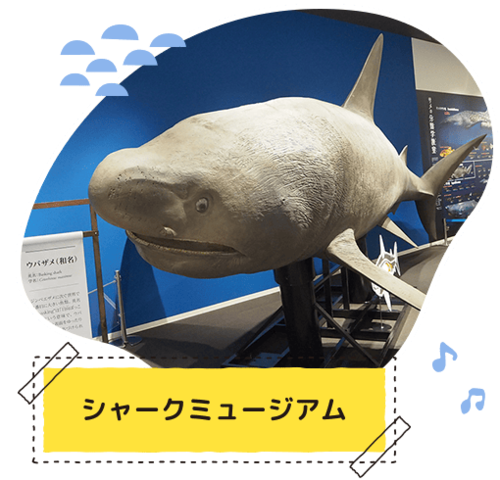 �V���[�N�~���[�W�A��