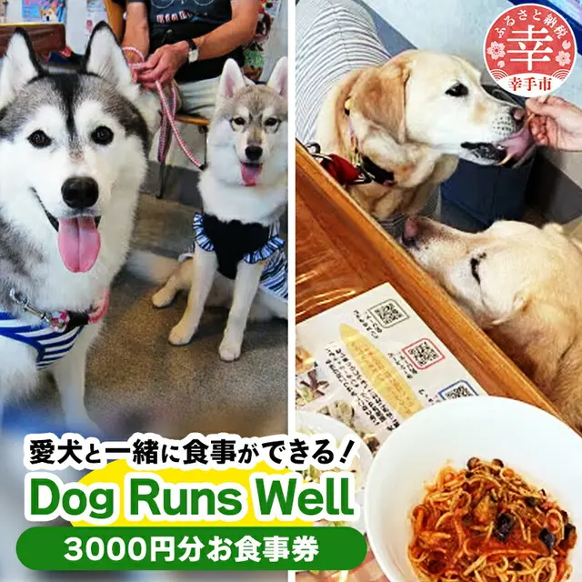 Dog Runs Well���H����3000�~��