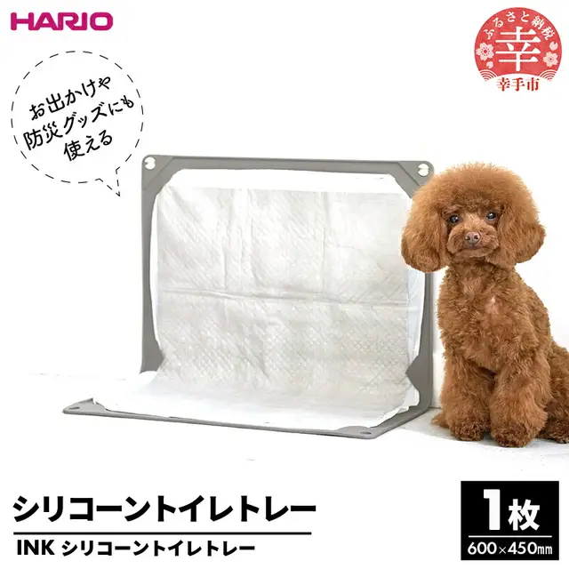 HARIO�g�C���g���[