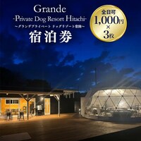 �h�b�O���]�[�g�헤�h����