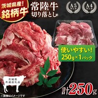 �헤���؂藎�Ƃ� 250g