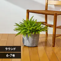 �v�����^�[ �e�L�X�^�C�� �D�z�� TXP-R20H ���E���h �O���[�W��