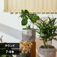 �v�����^�[ �e�L�X�^�C�� �D�z�� TXP-R25H ���E���h �O���[�W��