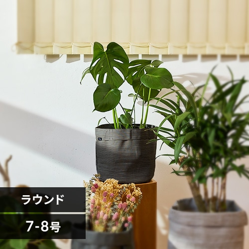 楽天市場】山葡萄 バッグ 大 サイズの通販