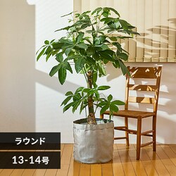 �v�����^�[ �e�L�X�^�C�� �D�z�� TXP-R40H ���E���h �O���[�W��