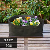 �v�����^�[ �e�L�X�^�C�� �D�z�� TXP-S50H �X�N�G�A �I���[�u