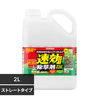 ����������2L WSJ-2L 