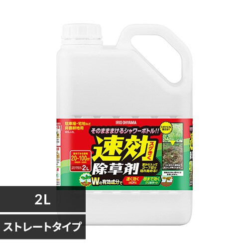 2L WSJ-2L _0