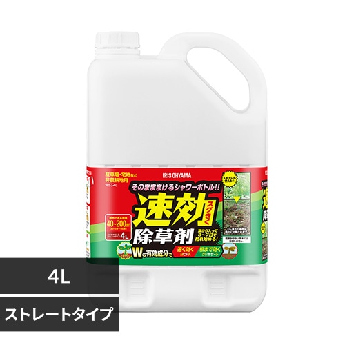 4L WSJ-4L _0