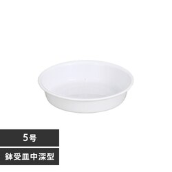 ����M ���[�^ 5�� �z���C�g