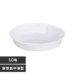 M [^ 10 zCg