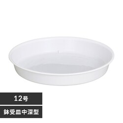 ����M ���[�^ 12�� �z���C�g