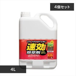 �y4�Z�b�g�z ������ 4L �X�g���[�g�^�C�v ���U���� SJS�|4L��