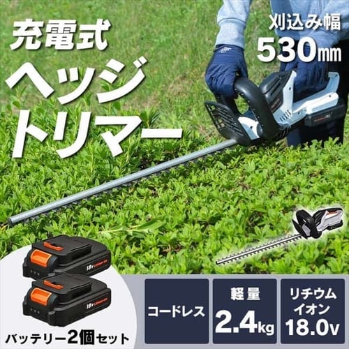 クーポン対象外】 エコー 充電式草刈機 36V バッテリー刈払機 バッテリー2個セット 充電器付き BSR310U-S1 芝刈機 充電式 バッテリー式  プラスワンキャンペーン 電動