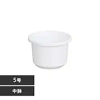 �e�B���g���� 5�� �z���C�g