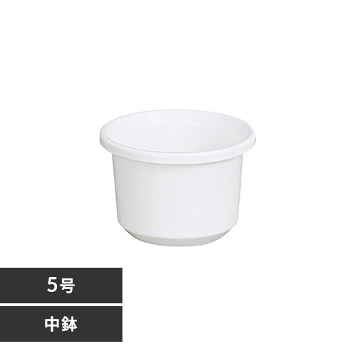 ティルト中鉢 5号 ホワイト_0