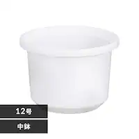 �e�B���g���� 12�� �z���C�g