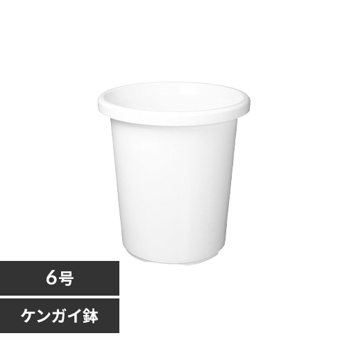 ケンケン樣専用S-1★絶品シンガポールホワイト大苗★4又★鉢底〜87cm 立形石ケン水容器 | 商品のご案内 | SANEI｜デザイン性に優れた