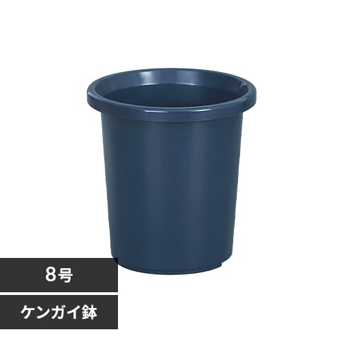 �e�B���g�P���K�C�� 8�� �u���[_0