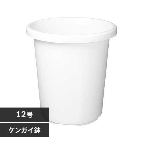 松崎 健　大鉢 松崎 健 大鉢 松崎 健 大鉢 【公式通販】