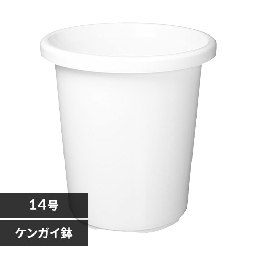 1080 凡才 鉢6点 1080 凡才 鉢6点 1080 凡才 鉢6点 1080 凡才 鉢6点 Yahoo!オークション