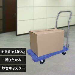  ω׏d150kg LX^[ iV TCg}X^[ DSK-101 