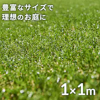 lH 1m~1m ŏ30mm A [^Cv  