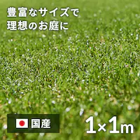 1~1m