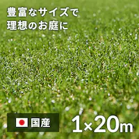 1×20m