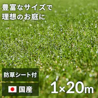 h1~20m