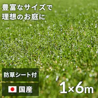 h1~6m