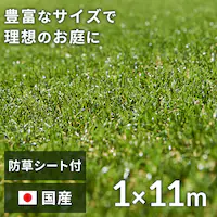 h1~11m