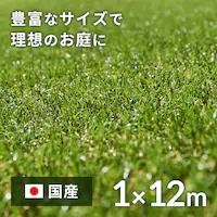 1~12m