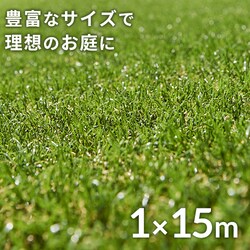 �l�H�� 1m�~15m �ŏ�30mm ���A������ ���[���^�C�v �yU���B30�{�t���z  �y�����z