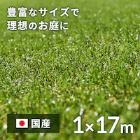 1×17m