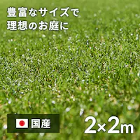 2~2m