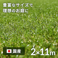 2~11m