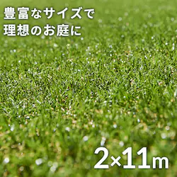 �l�H�� 2m�~11m �ŏ�30mm ���A������ ���[���^�C�v �yU���B44�{�t���z  �y�����z