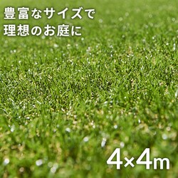 �l�H�� 4���~4m �ŏ�30mm ���A������ ���[���^�C�v �yU���B32�{�t���z  �y�����z