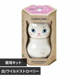 �R���R�� �L���b�g GD-102603 ��/���C���h�X�g���x���[