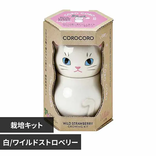 コロコロ キャット GD-102603 白/ワイルドストロベリー_0