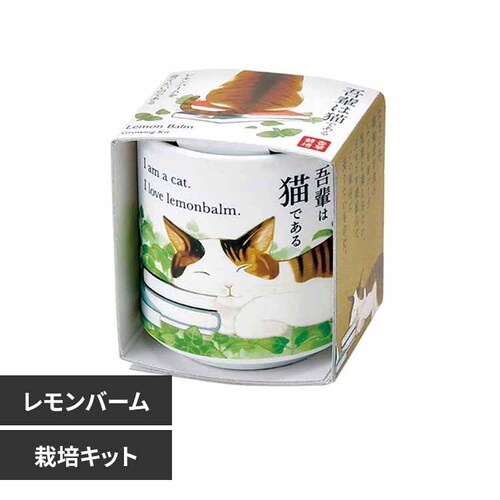 ����ł������傱 ��y�L GD-102802 �������o�[���y�v���U�Z���N�g�z_0