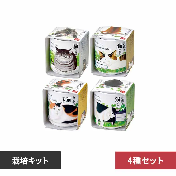 �ǉ����i�T���l�C��