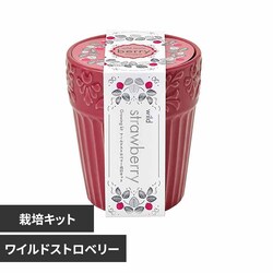 OCX K[f GD-103101 ChXgx[yvUZNgz